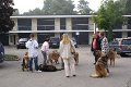 Nachzuchttreffen 08_08 016